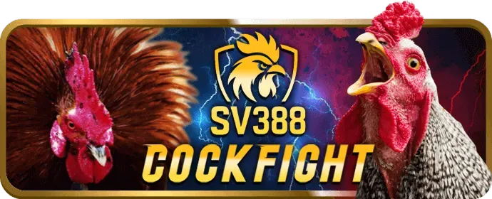 Phân tích thị trường cá cược J8BET